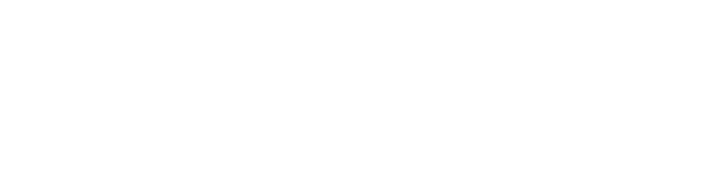 EDIBS Business School